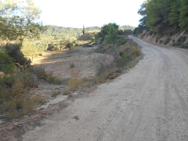 Finca/Casa di Campagna in vendita in Corbera d'Ebre - 16.000 € (Rif: 10120577)