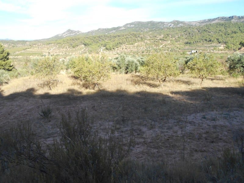 Finca/Casa di Campagna in vendita in Corbera d'Ebre - 16.000 € (Rif: 10120577)