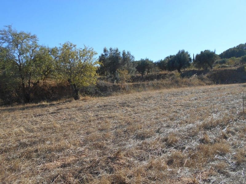 Finca/Casa di Campagna in vendita in Corbera d'Ebre - 16.000 € (Rif: 10120577)