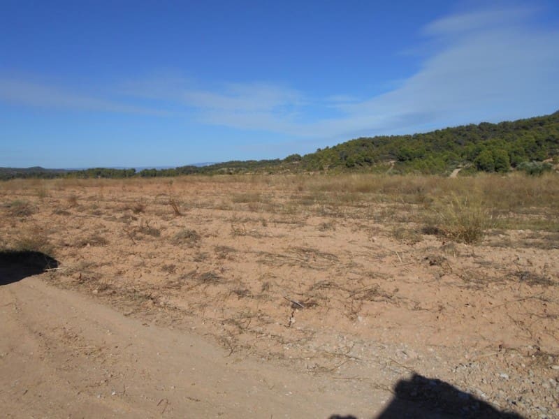 Finca/Casa di Campagna in vendita in Corbera d'Ebre - 16.000 € (Rif: 10120577)