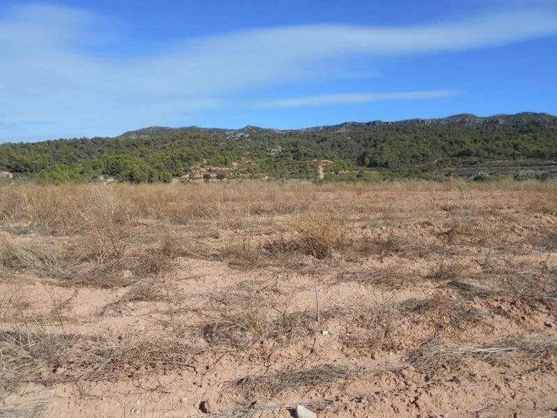 Finca/Casa di Campagna in vendita in Corbera d'Ebre - 16.000 € (Rif: 10120577)
