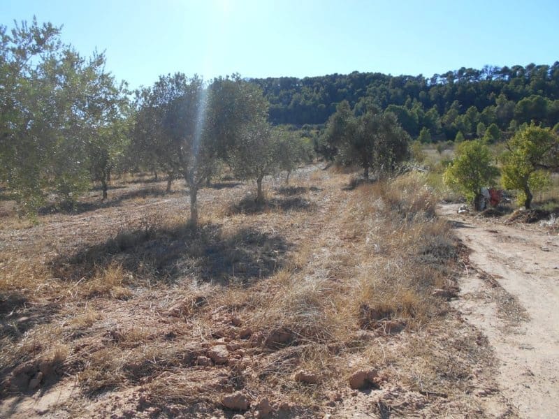 Finca/Casa di Campagna in vendita in Corbera d'Ebre - 16.000 € (Rif: 10120577)
