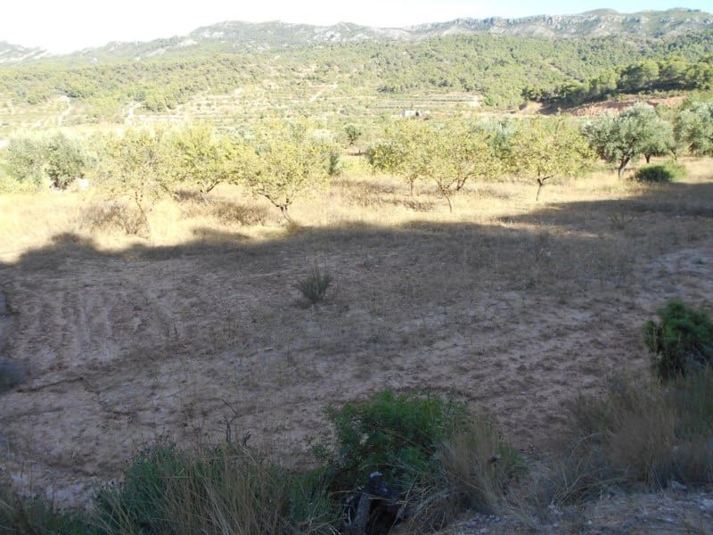Finca/Casa di Campagna in vendita in Corbera d'Ebre - 16.000 € (Rif: 10120577)