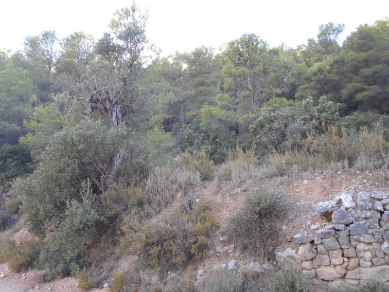 Finca/Casa di Campagna in vendita in Corbera d'Ebre - 16.000 € (Rif: 10120577)