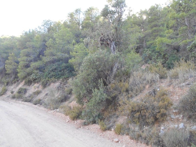 Finca/Casa di Campagna in vendita in Corbera d'Ebre - 16.000 € (Rif: 10120577)