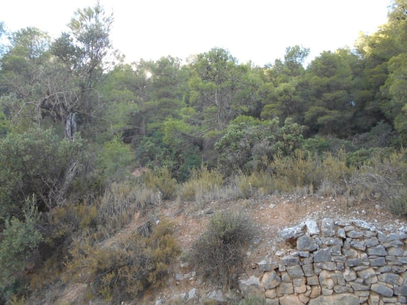 Finca/Casa di Campagna in vendita in Corbera d'Ebre - 16.000 € (Rif: 10120577)