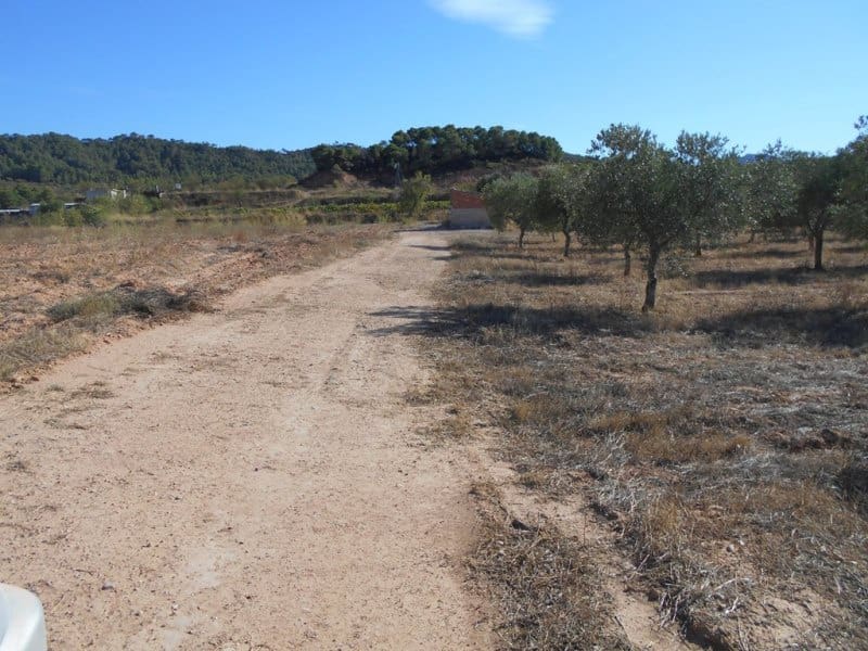 Finca/Casa di Campagna in vendita in Corbera d'Ebre - 16.000 € (Rif: 10120577)