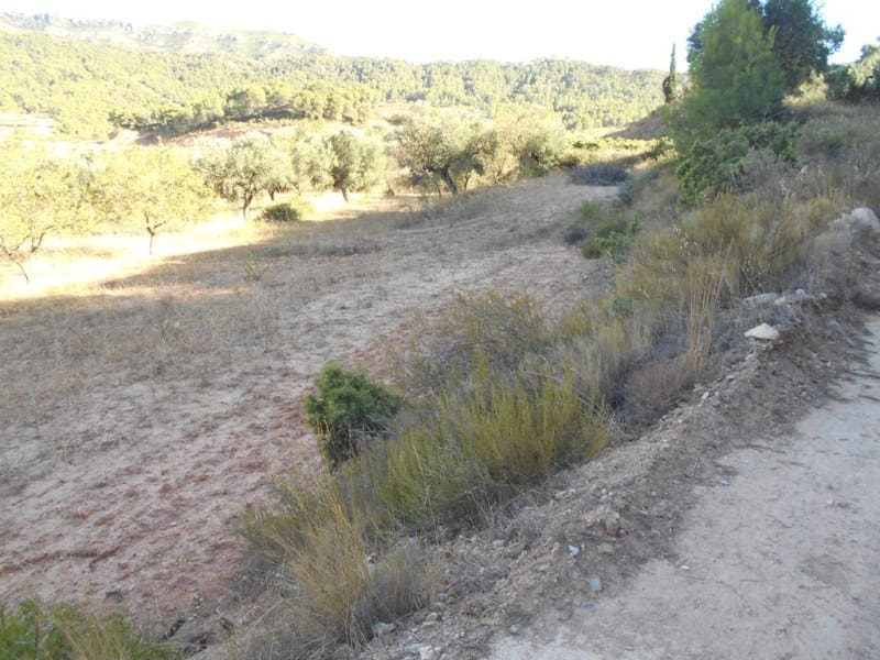 Finca/Casa di Campagna in vendita in Corbera d'Ebre - 16.000 € (Rif: 10120577)