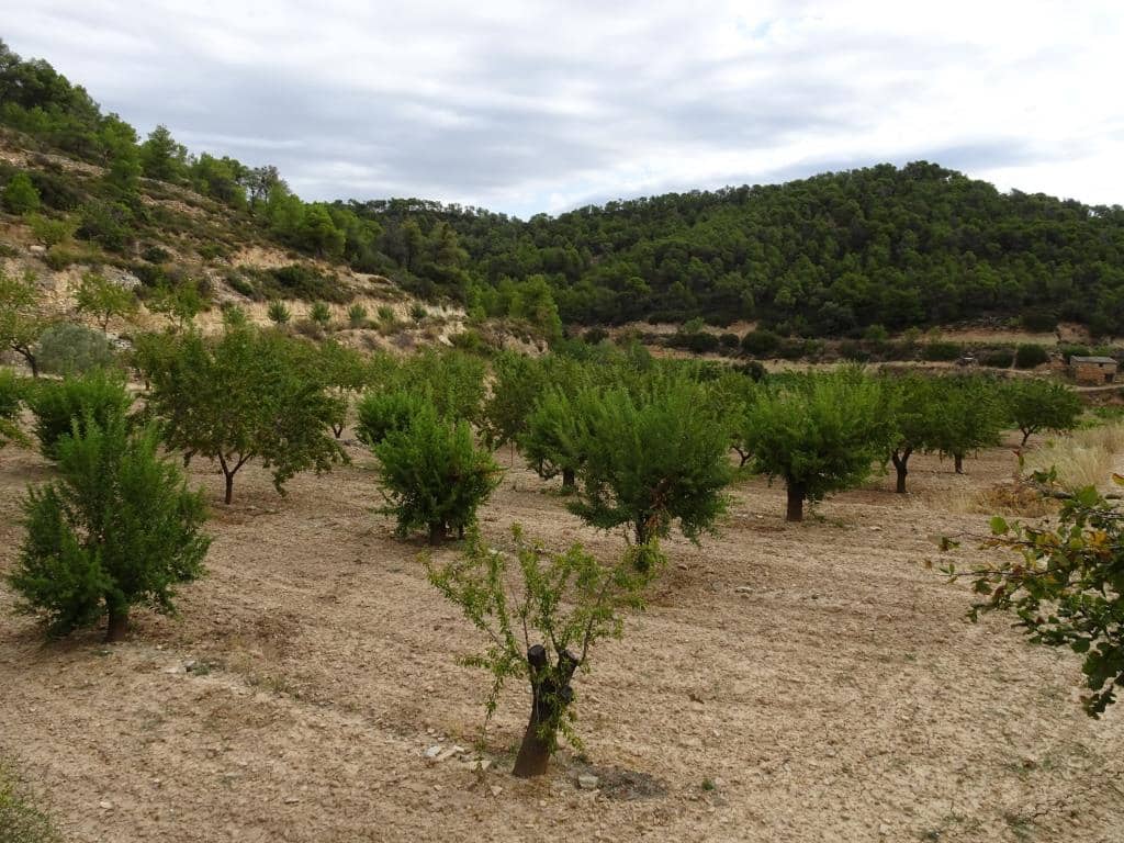Finca/Landehus til salg i Corbera d'Ebre - € 22.000 (Ref: 5977072)