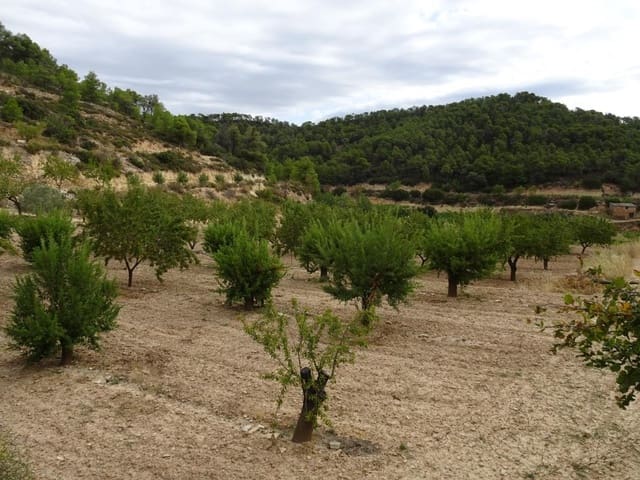 Finca/Landehus til salg i Corbera d'Ebre - € 22.000 (Ref: 5977072)
