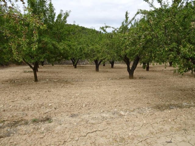 Finca/Landehus til salg i Corbera d'Ebre - € 22.000 (Ref: 5977072)