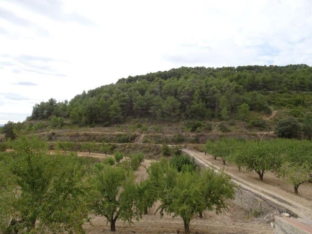 Finca/Landehus til salg i Corbera d'Ebre - € 22.000 (Ref: 5977072)