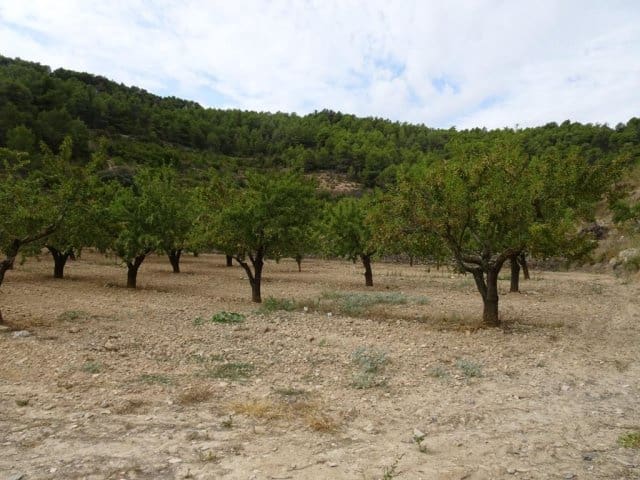 Finca/Landehus til salg i Corbera d'Ebre - € 22.000 (Ref: 5977072)