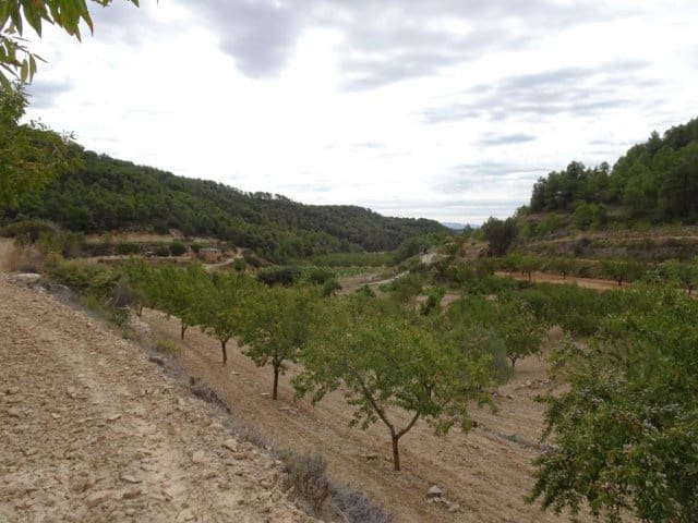 Finca/Landehus til salg i Corbera d'Ebre - € 22.000 (Ref: 5977072)