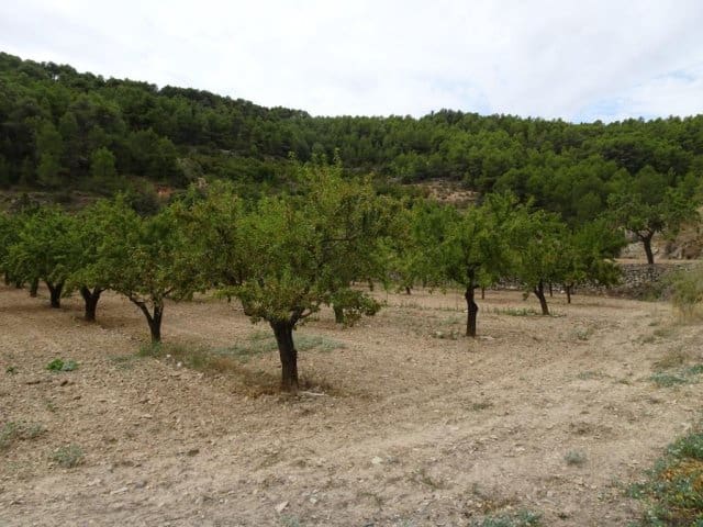 Finca/Landehus til salg i Corbera d'Ebre - € 22.000 (Ref: 5977072)