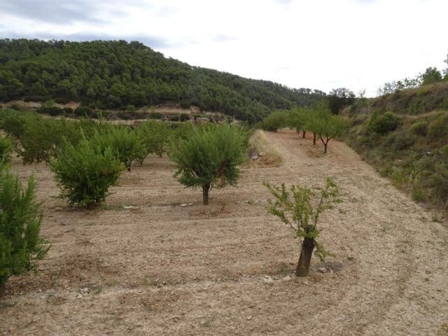 Finca/Landehus til salg i Corbera d'Ebre - € 22.000 (Ref: 5977072)