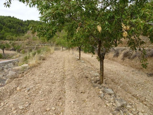 Finca/Landehus til salg i Corbera d'Ebre - € 22.000 (Ref: 5977072)