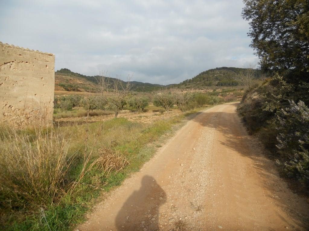Finca/Landehus til salg i Corbera d'Ebre - € 24.000 (Ref: 6754369)