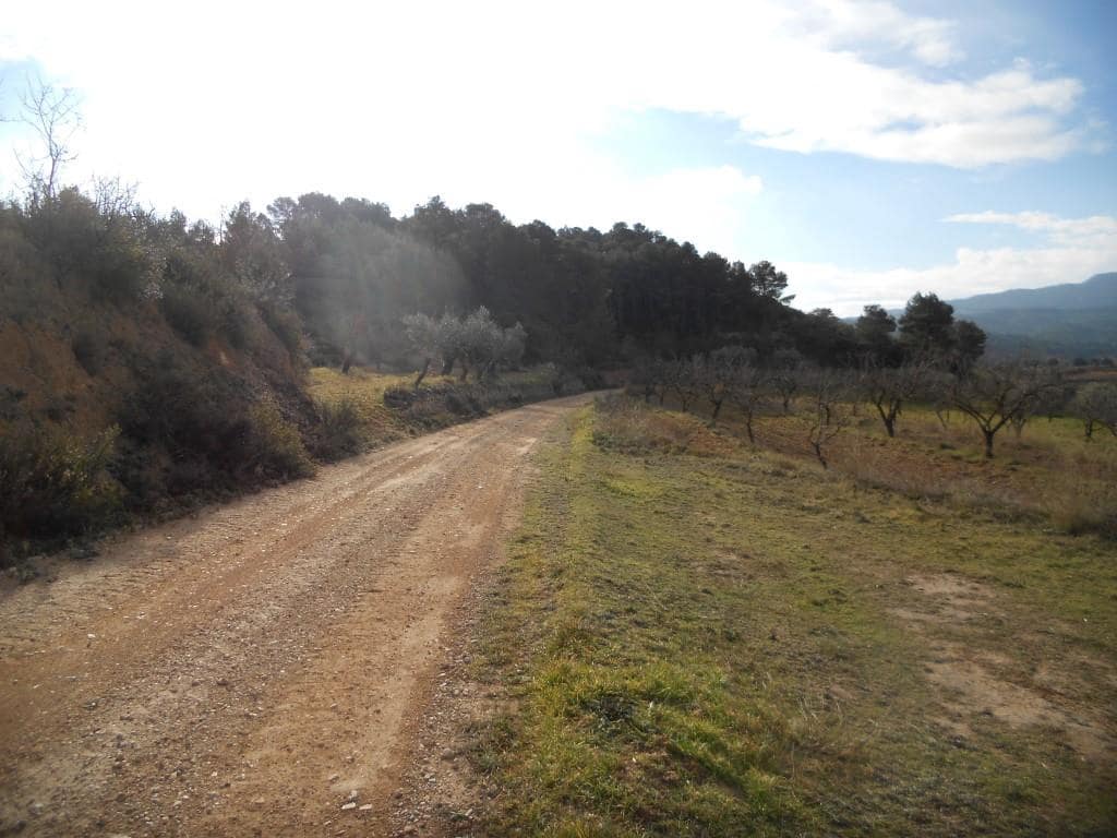 Finca/Landehus til salg i Corbera d'Ebre - € 24.000 (Ref: 6754369)