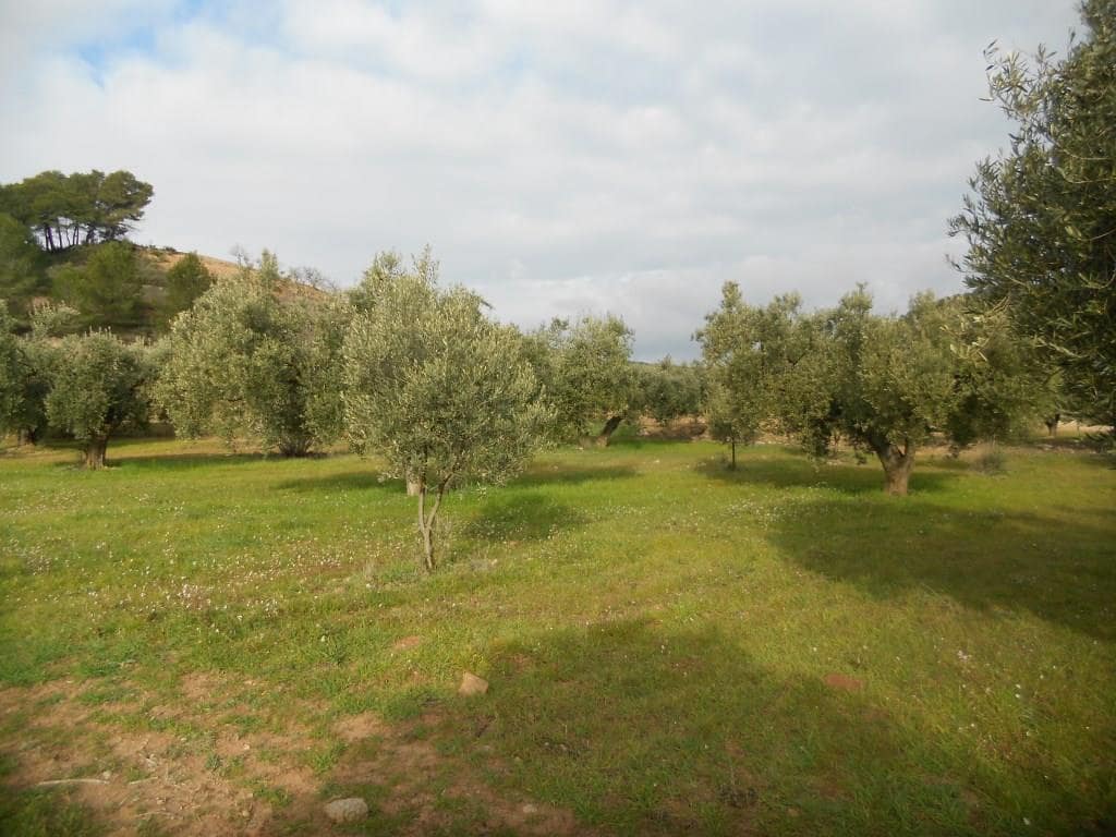 Finca/Landehus til salg i Corbera d'Ebre - € 24.000 (Ref: 6754369)