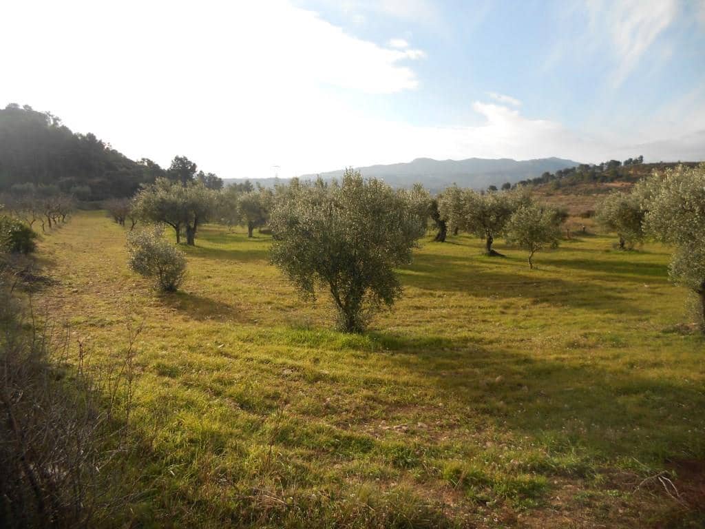 Finca/Landehus til salg i Corbera d'Ebre - € 24.000 (Ref: 6754369)