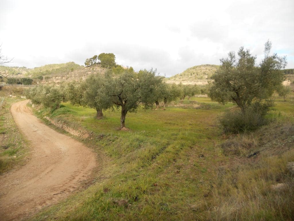 Finca/Landehus til salg i Corbera d'Ebre - € 24.000 (Ref: 6754369)