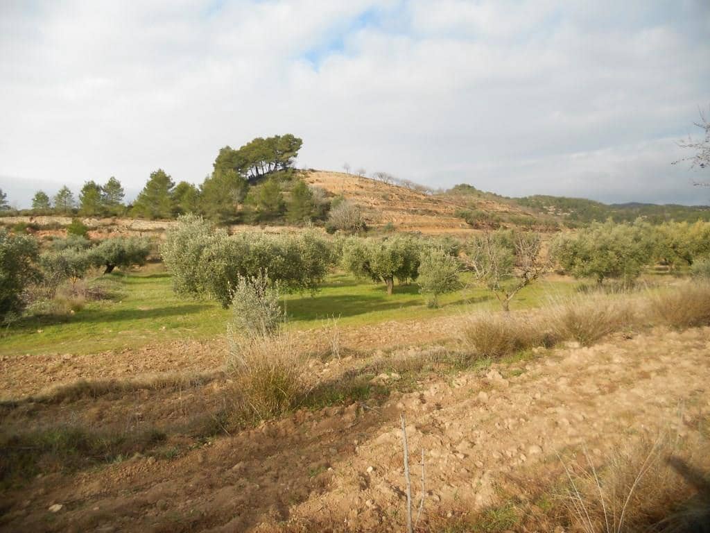 Finca/Landehus til salg i Corbera d'Ebre - € 24.000 (Ref: 6754369)