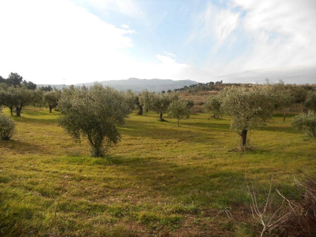 Finca/Landehus til salg i Corbera d'Ebre - € 24.000 (Ref: 6754369)