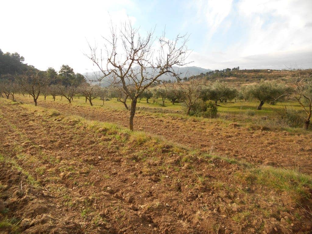 Finca/Landehus til salg i Corbera d'Ebre - € 24.000 (Ref: 6754369)