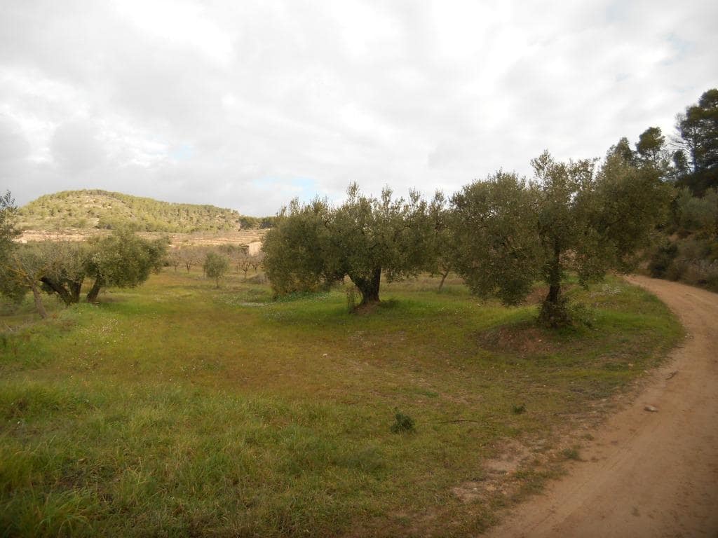 Finca/Landehus til salg i Corbera d'Ebre - € 24.000 (Ref: 6754369)