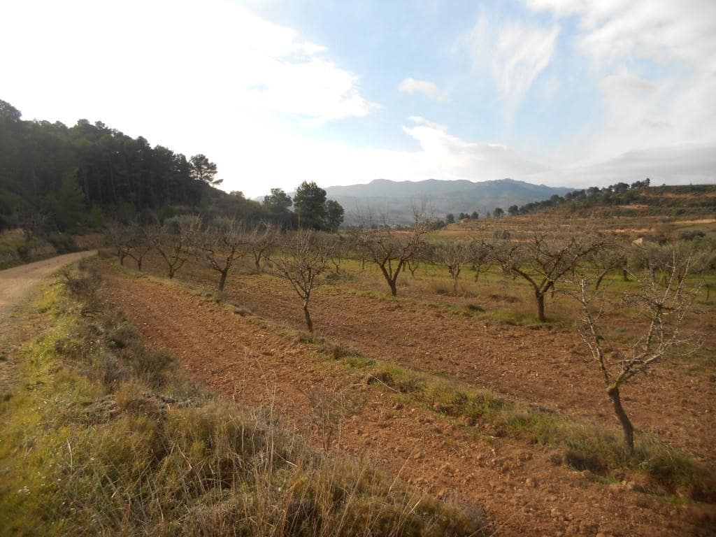 Finca/Landehus til salg i Corbera d'Ebre - € 24.000 (Ref: 6754369)