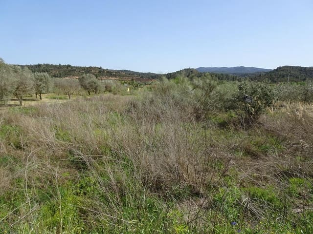 Finca/Landgut zu verkaufen in Riba-roja d'Ebre - 21.000 € (Ref: 6885351)