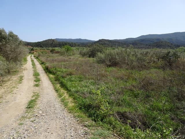 Finca/Landgut zu verkaufen in Riba-roja d'Ebre - 21.000 € (Ref: 6885351)
