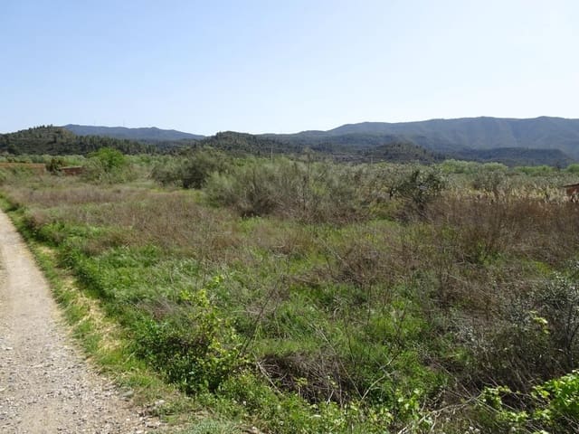 Finca/Landgut zu verkaufen in Riba-roja d'Ebre - 21.000 € (Ref: 6885351)