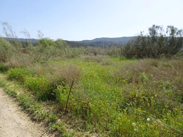 Finca/Landgut zu verkaufen in Riba-roja d'Ebre - 21.000 € (Ref: 6885351)