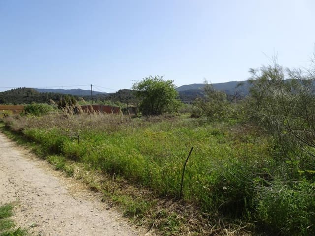 Finca/Landgut zu verkaufen in Riba-roja d'Ebre - 21.000 € (Ref: 6885351)