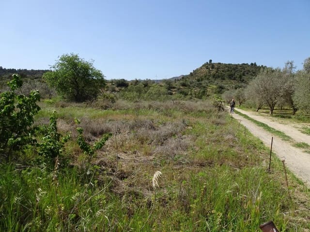 Finca/Landgut zu verkaufen in Riba-roja d'Ebre - 21.000 € (Ref: 6885351)
