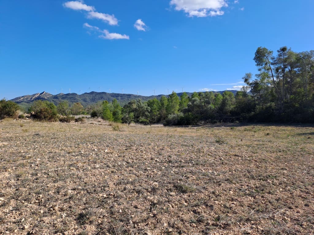 Finca/Landhuis te koop in Asco - € 8.000 (Ref: 8088180)