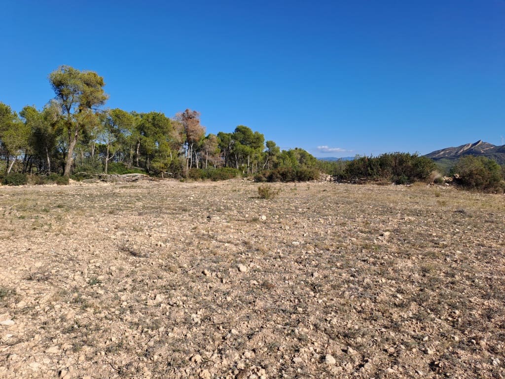 Finca/Landhuis te koop in Asco - € 8.000 (Ref: 8088180)