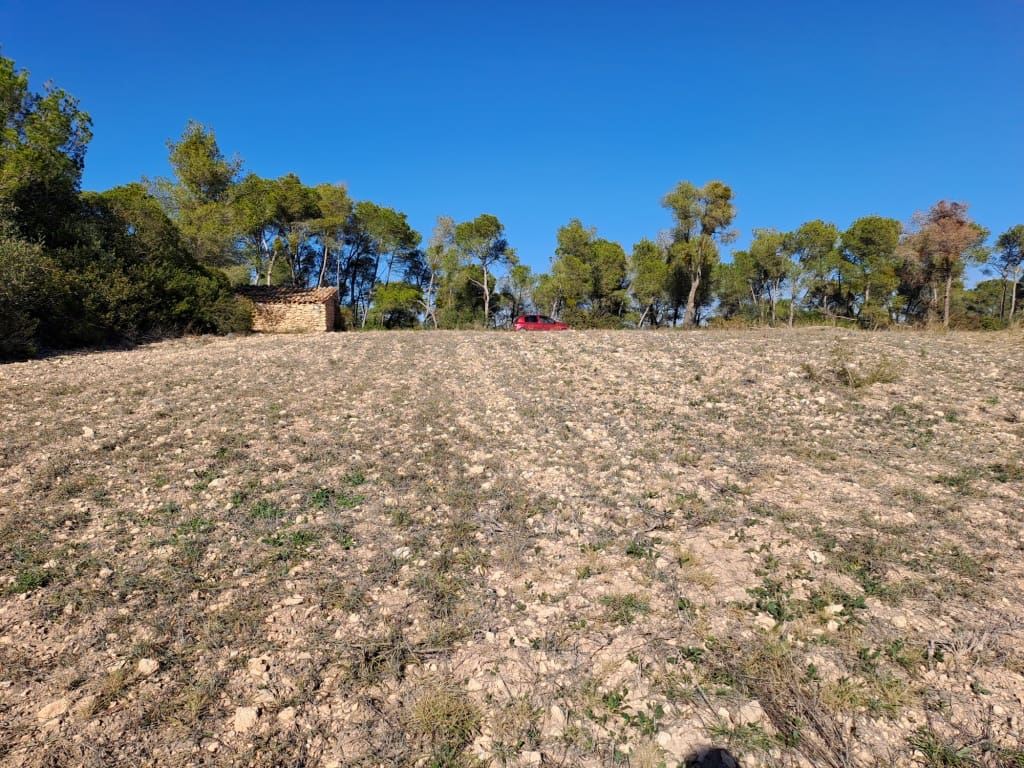 Finca/Landhuis te koop in Asco - € 8.000 (Ref: 8088180)