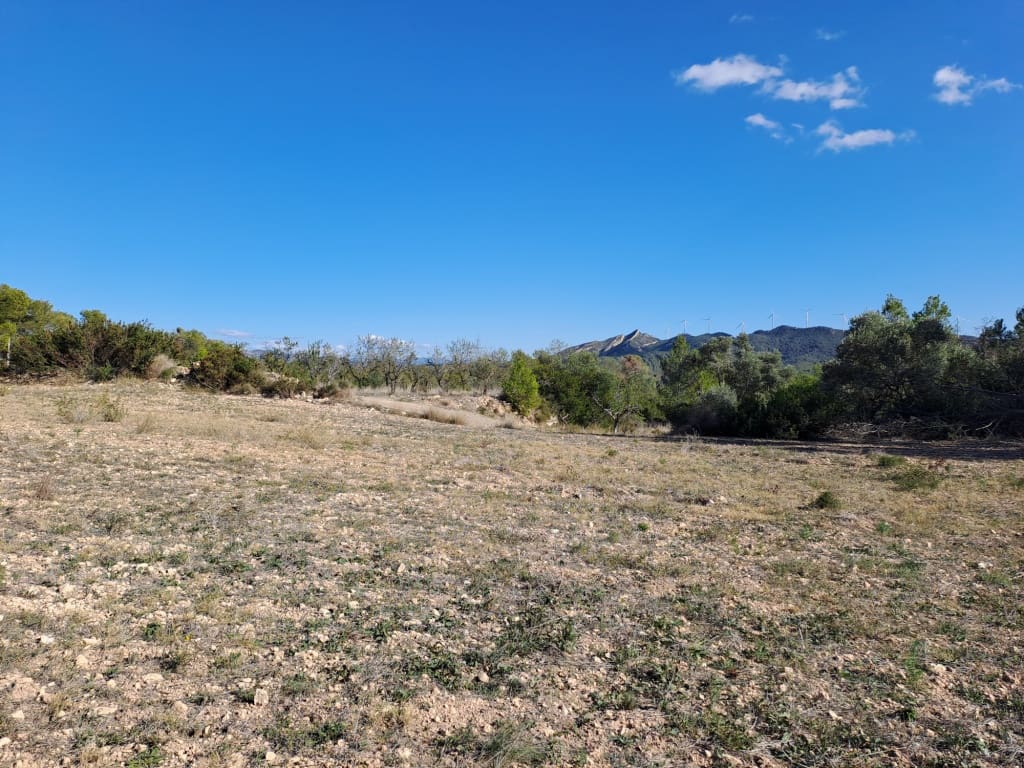 Finca/Landhuis te koop in Asco - € 8.000 (Ref: 8088180)