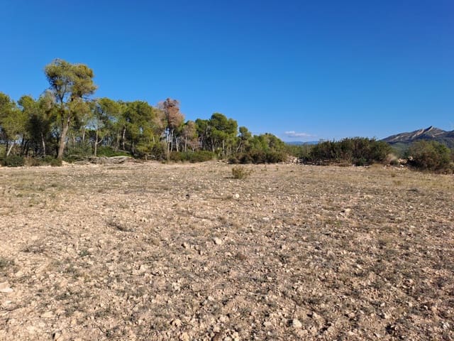 Finca/Country House for sale in Ascó - € 8,000 (Ref: 8088180)