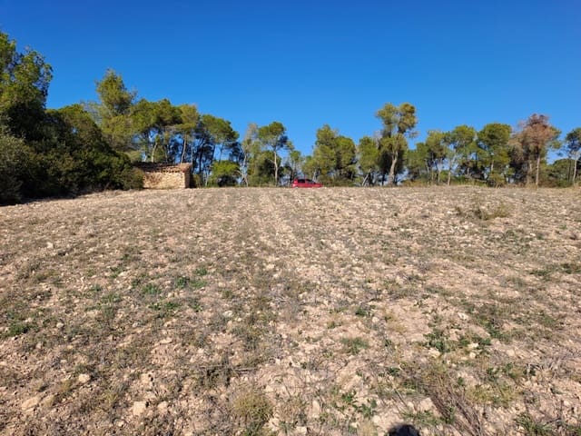 Finca/Country House for sale in Ascó - € 8,000 (Ref: 8088180)