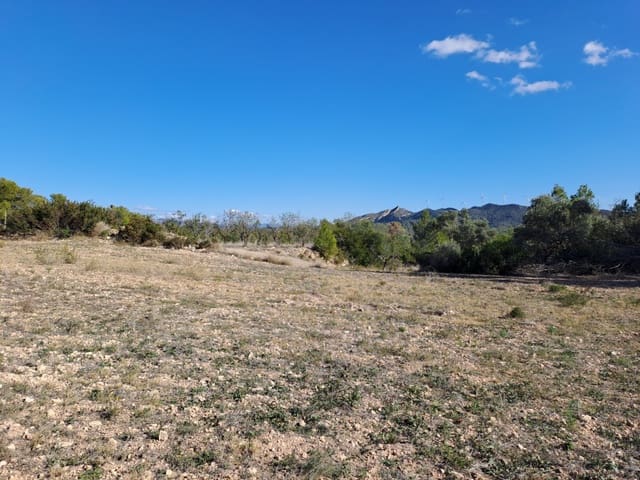 Finca/Country House for sale in Ascó - € 8,000 (Ref: 8088180)