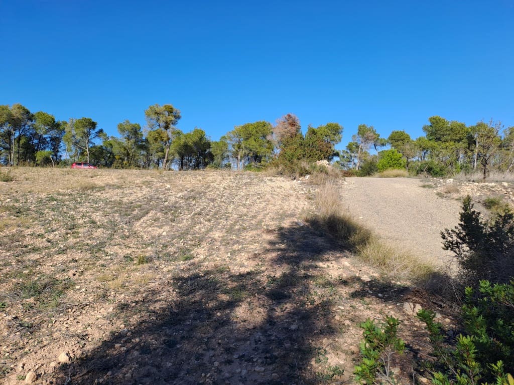 Finca/Landhuis te koop in Asco - € 8.000 (Ref: 8088180)