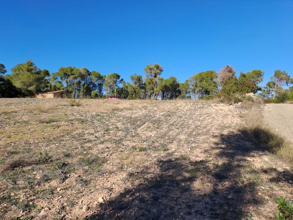 Finca/Landhuis te koop in Asco - € 8.000 (Ref: 8088180)