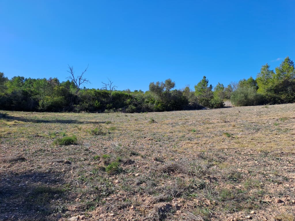 Finca/Landhuis te koop in Asco - € 8.000 (Ref: 8088180)