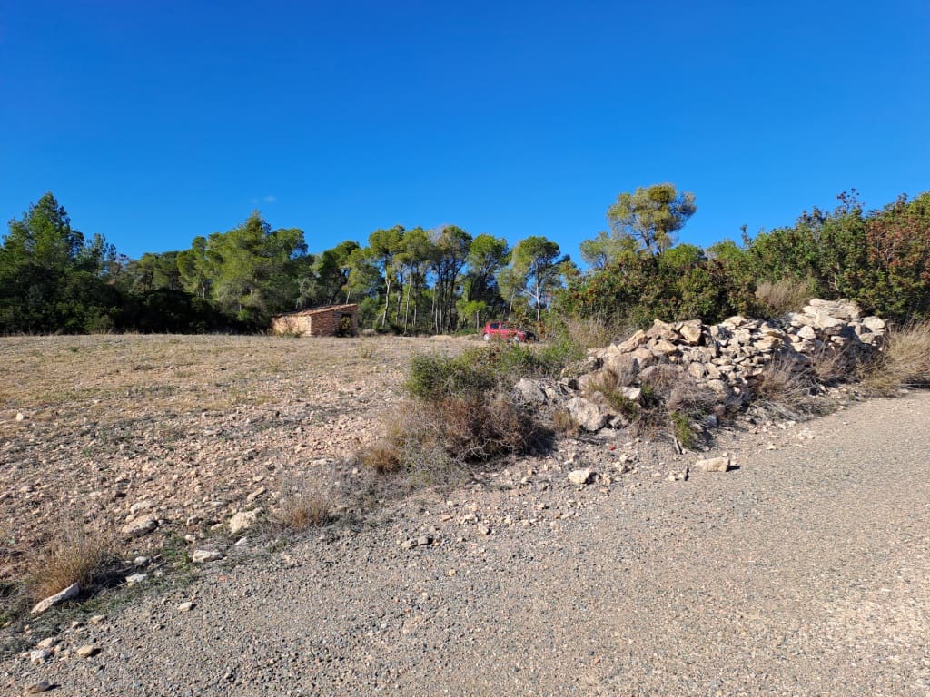 Finca/Landhuis te koop in Asco - € 8.000 (Ref: 8088180)