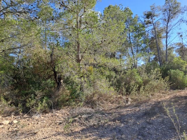 Finca/Country House for sale in Ascó - € 8,000 (Ref: 8088180)