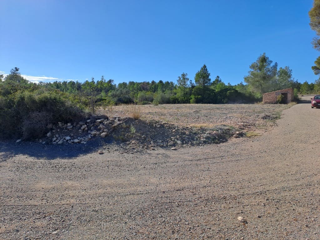 Finca/Landhuis te koop in Asco - € 8.000 (Ref: 8088180)